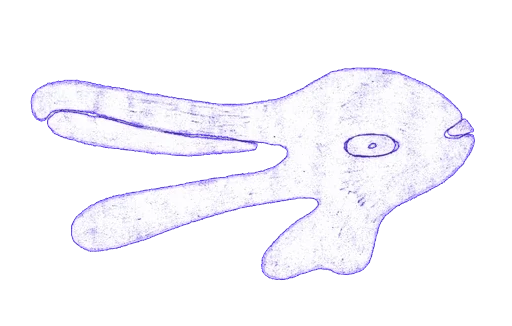 Shapeshift